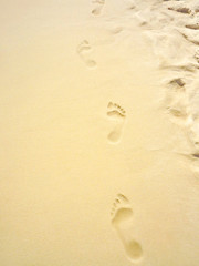 Human footprints in the sand