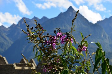 Ruins of the ancient city of Machu Picchu Peru 