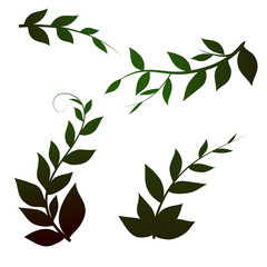 branches with leaves on white background, vector leaves
