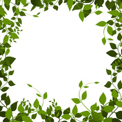 frame from leaves, vector. Foliage