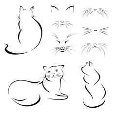 cats. Images of cats, lines. Vector