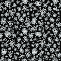 Seamless pattern of branches and leaves. Hand drawing simple pencil. botanical illustration vintage. Background for title, image for blog, decoration. Design for wallpapers, textiles, barbics, fabrics