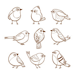 Hand drawn cute little birds in different poses, isolated on white background. Vector illustration.