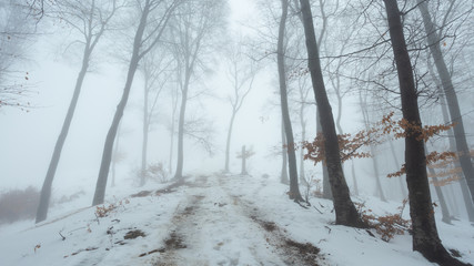 Trail covered in snow in romantic foggy forest. Trees with red leaves. Winter cold day