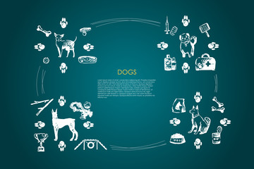 Dogs - different dog breeds with food, bones, collar, footprints, bowl, vet objects vector concept set