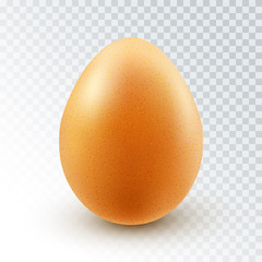Vector Realistic Textured Brown Chicken Egg with Shadow Isolated on Transparent Background. Easter Design Element