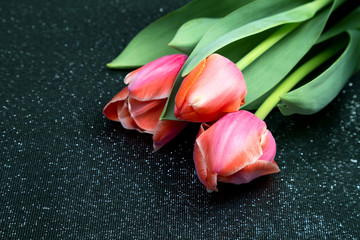 red spring tulips lie on a black brocade fabric with sparkles