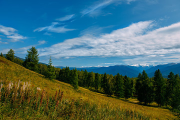 Mountain valley with cloudy sky, golden autumn panorama landscape, Altai Republic, Russia