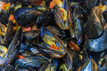 Boiled mussels with sauce in the plate