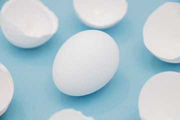  Broken white egg shells around the whole egg, isolated on blue background
