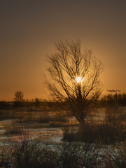 Obraz premium Cold and windy winters day, but a beautiful sunset it was.