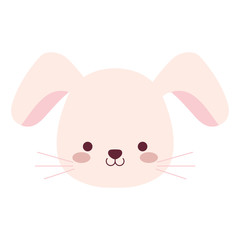 cute and little rabbit character