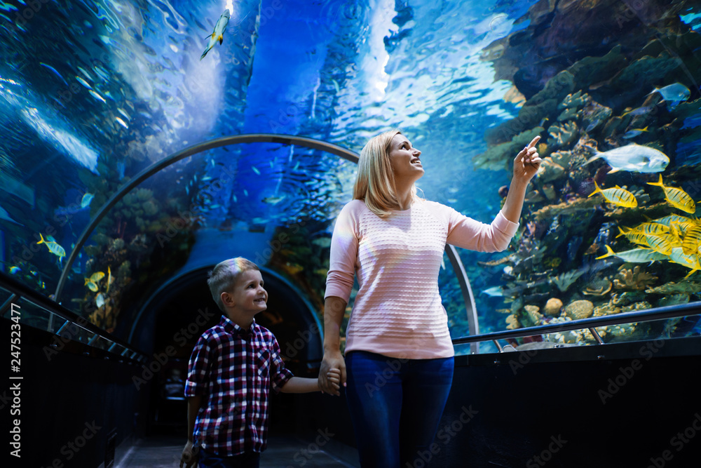 Wall mural family watchig fishes at a aquarium