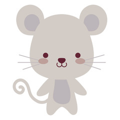 cute and little koala character
