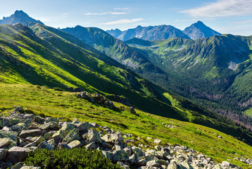 Fototapeta na wymiar Summer Tatra Mountain, Poland