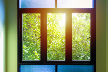 black metallic window frame with green tree nature background
