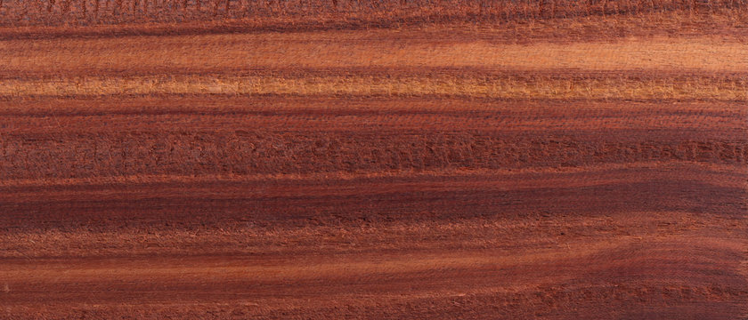 Wood From The Tropical Rainforest - Suriname - Brosimum Paraense