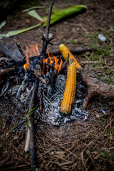 Photo of Grilling Corn on Bonfire in Himalayas