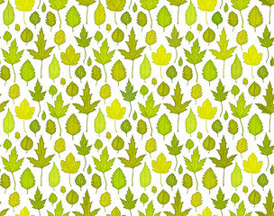 Seamless pattern background with green leaves. Vector illustration