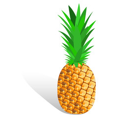 Ripe pineapple, tropical fruit. Summer fruit for healthy lifestyle