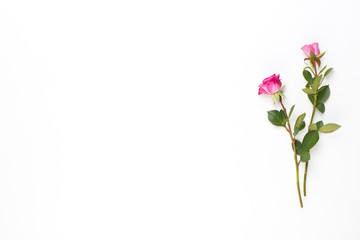Fototapeta premium Flowers composition. Frame made of red rose on white wooden background. Flat lay, top view, copy space.