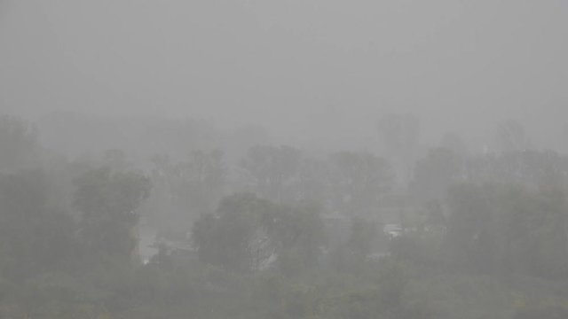 4K Storm With Trees Blowing In The Wind