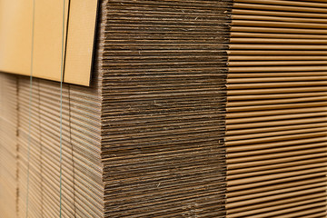 Carton of cardboard packaging