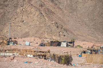 .Poverty Bedouin in the Sinai Desert. Slum dwellers of nomads