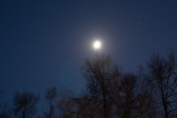 Fototapeta premium Lunar