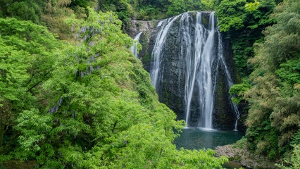 Falls　鹿児島県龍門滝１