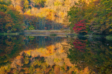 Aomori Prefecture of autumn leaves Tsutanuma　　紅葉の青森県蔦沼