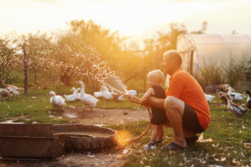 Grandfather playing with his grandson while crouching and spraying with hose. In background ducks...
