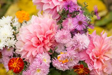 Bouquet of autumn flowers,beautiful flowers fall on a yellow background