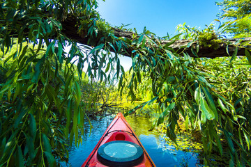 Red kayak floats down the river under a fallen willow