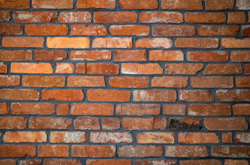 Naklejka premium Natural red brick background