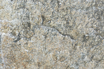 Surface of brown stone texture has fungas,nature background