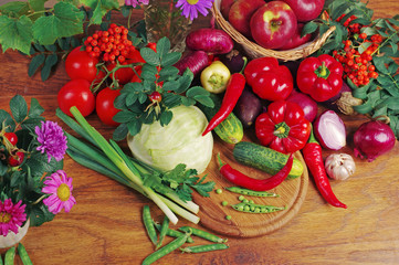 Cabbage, tomatoes, radishes, cucumbers, carrots, peppers, eggplants, parsley on a wooden table