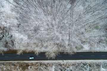 road with snowy forest