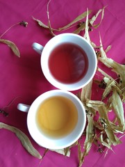 healthy herbal tea