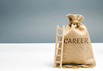 Money bag with the word Career and a wooden ladder. Self-development and leadership skills. Career ladder is a process of career growth, the achievement of success at work and promotion