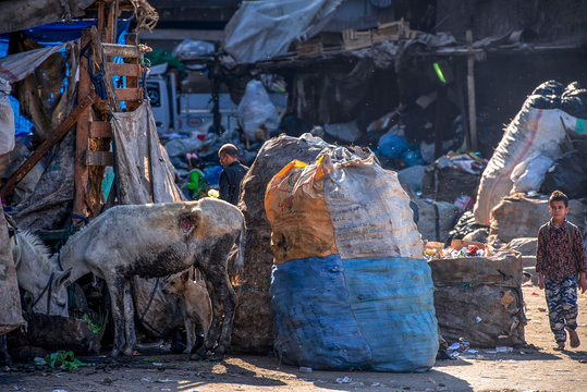 11/18/2018 Cairo, Egypt, children go to school on the street of a garbage town among a bunch of garbage and unacceptable stench on a sunny day