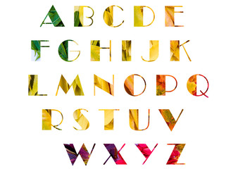 English alphabet on a background of autumn leaves!