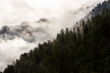 The Clar&eacute;e Valley