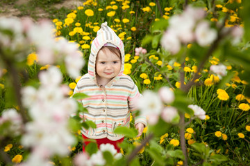 Cute girl in a dandelion meadow