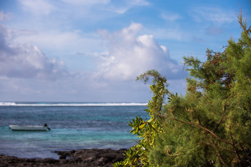 Exotic beach on tropical island