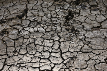 Climate warming dry chapped land