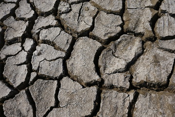 Climate warming dry chapped land