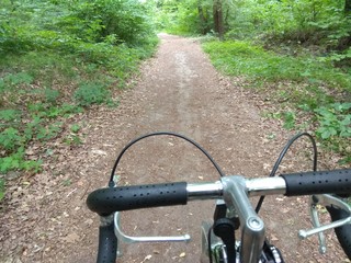 Bike, bicycle, fun, sport, forest