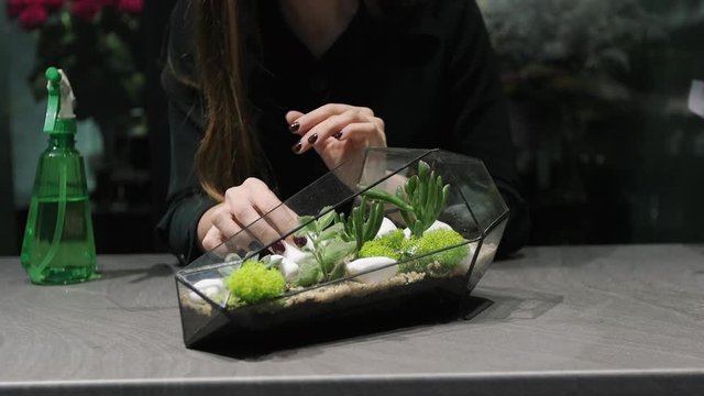 Woman professional florist takes care for mini garden in modern florarium.