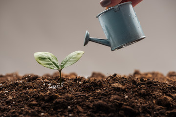 cropped view of woman watering plant in pot, protecting nature concept © LIGHTFIELD STUDIOS